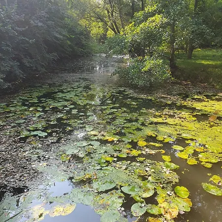 Chopin Niché Au Coeur Du Moulin D'agy * Agy